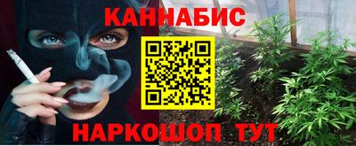 шишки Нальчик